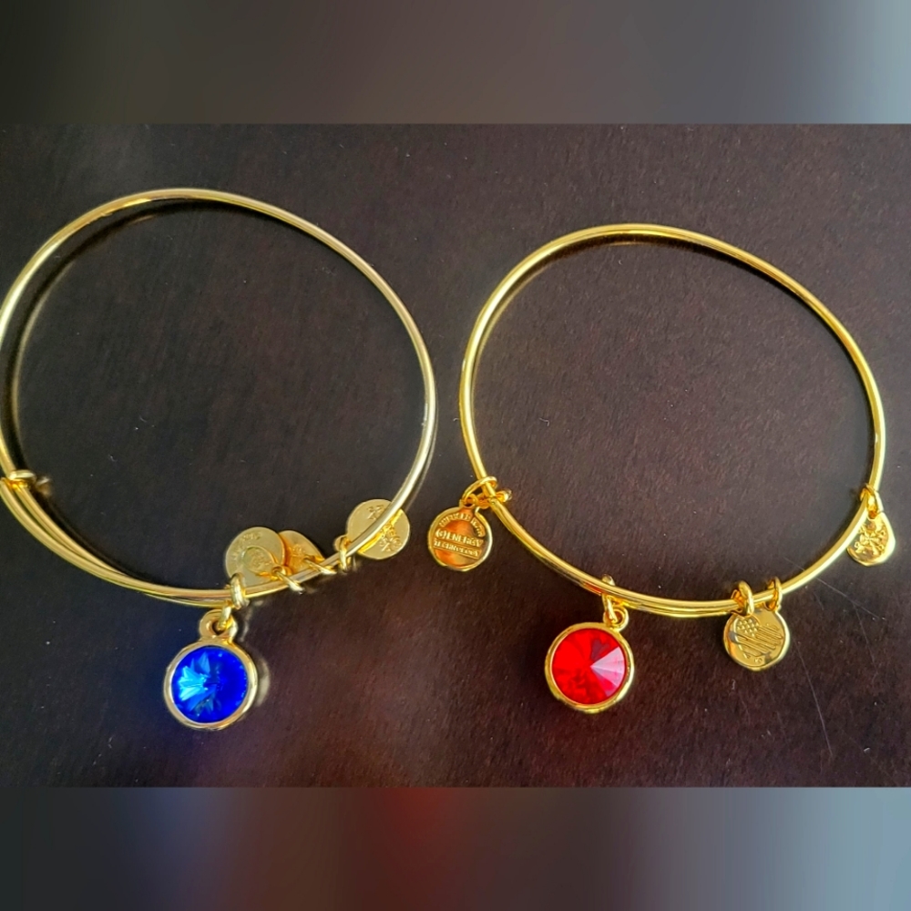 Alex and Ani - 2 bangle bars with colored stone